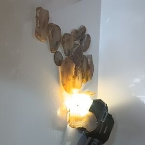 Agate Slices - Cream & Brown